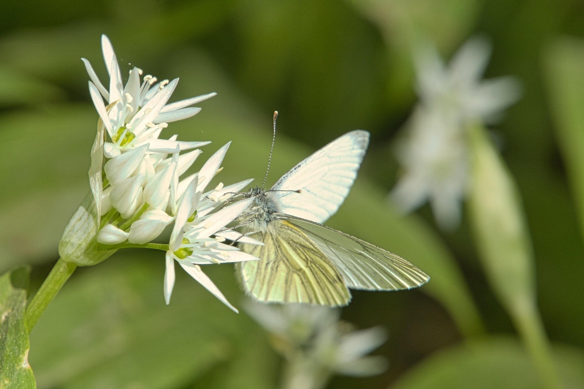 dafc449925b1b121dc0c338266e36104