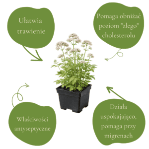 f5471de94864391822ba0ca806a36eb2