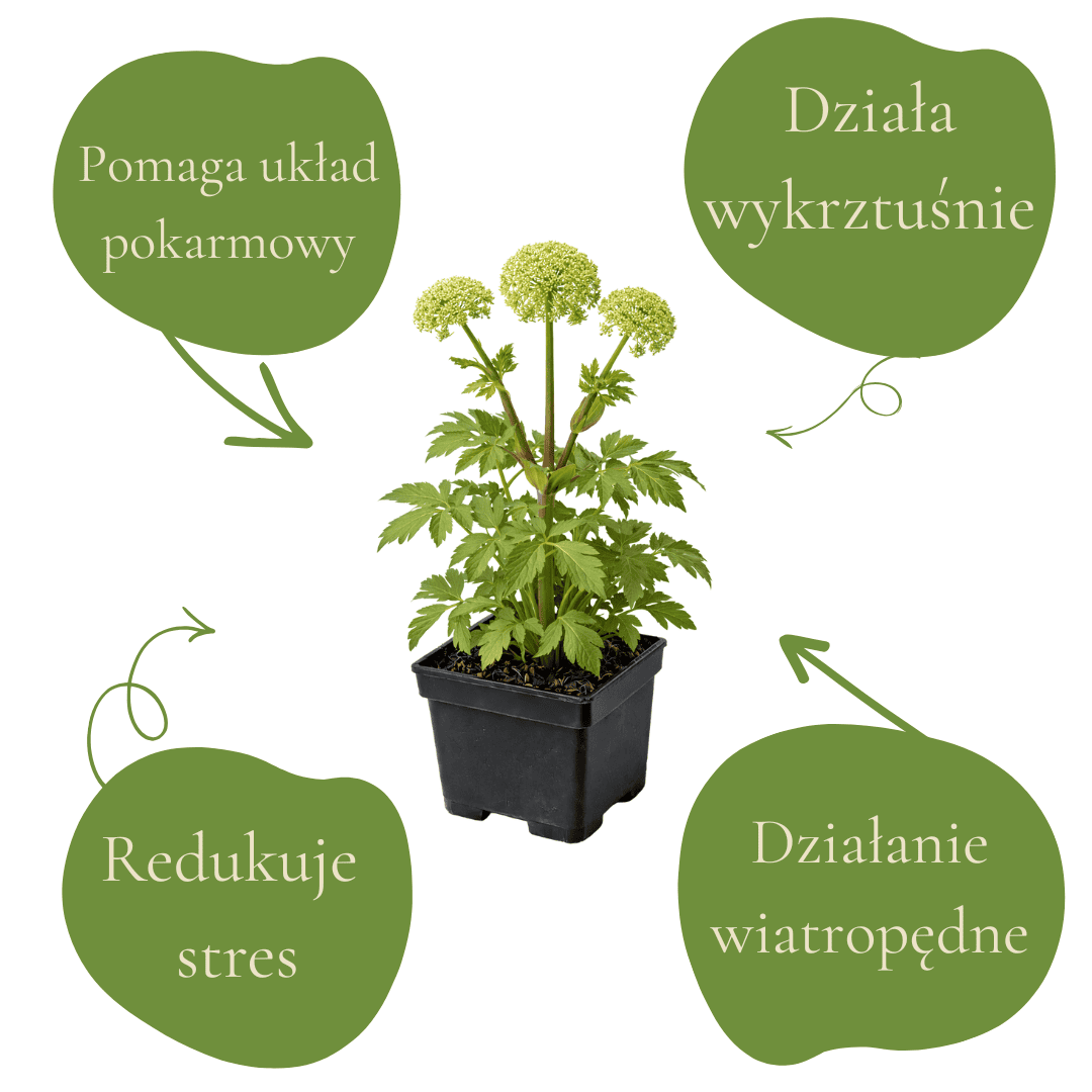 ad7102ed72f0de5c0ff2c1b831a890c6