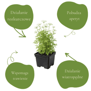 ea0c437f7f6687bb1d12a22ead011536