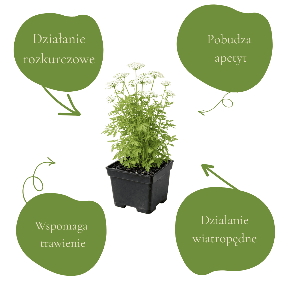 ea0c437f7f6687bb1d12a22ead011536