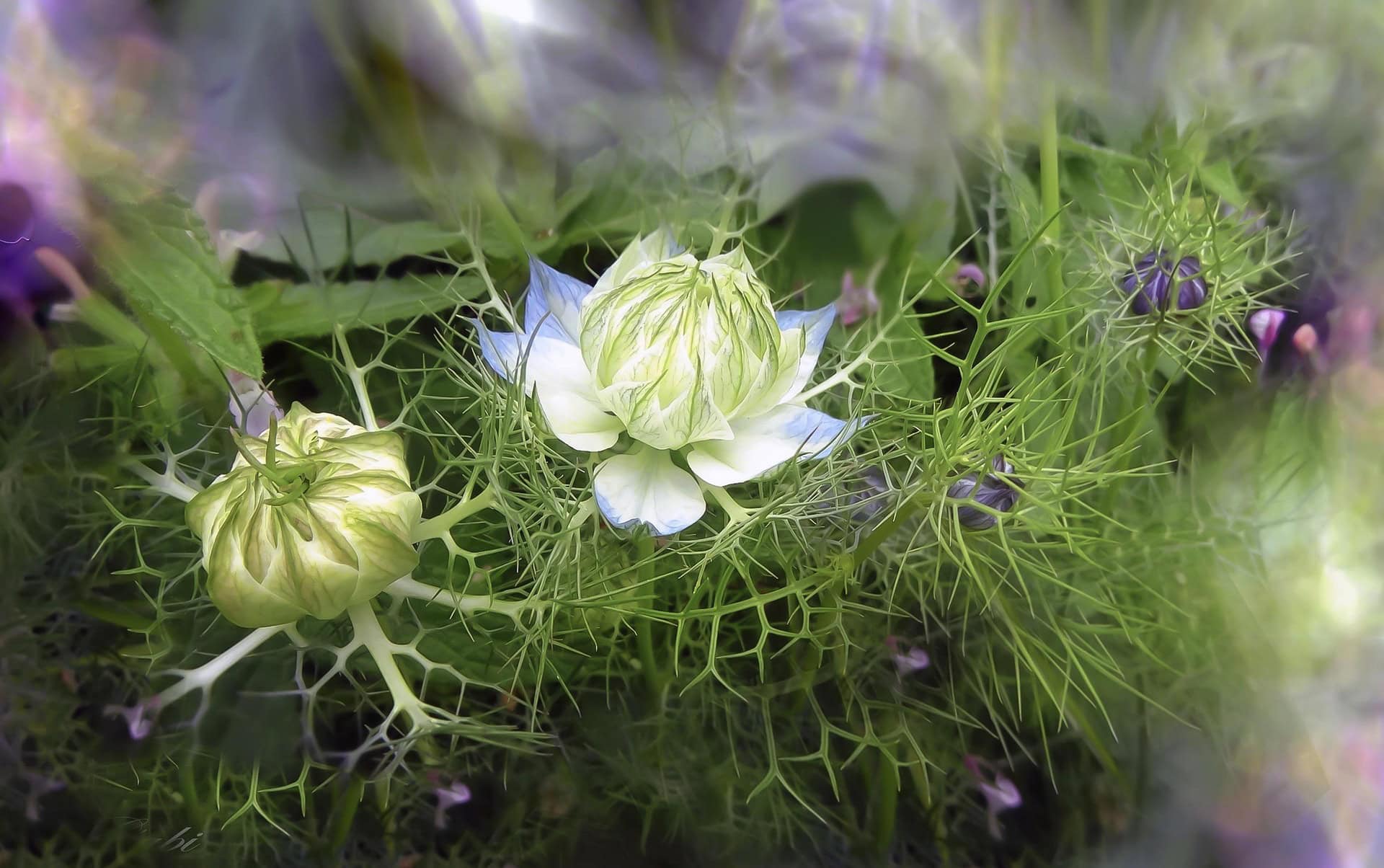 b4a64e95a237d1ee4e4e52cc6a670aa6