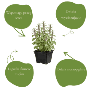 2c2e3cb64da1d269dca1509ec2732ddd