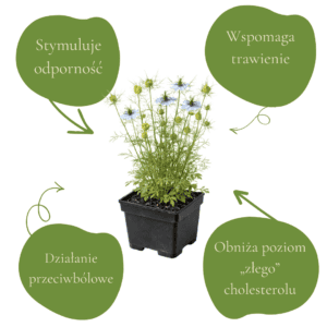 e04ab345998a9e48e54bfd3fe428e71b