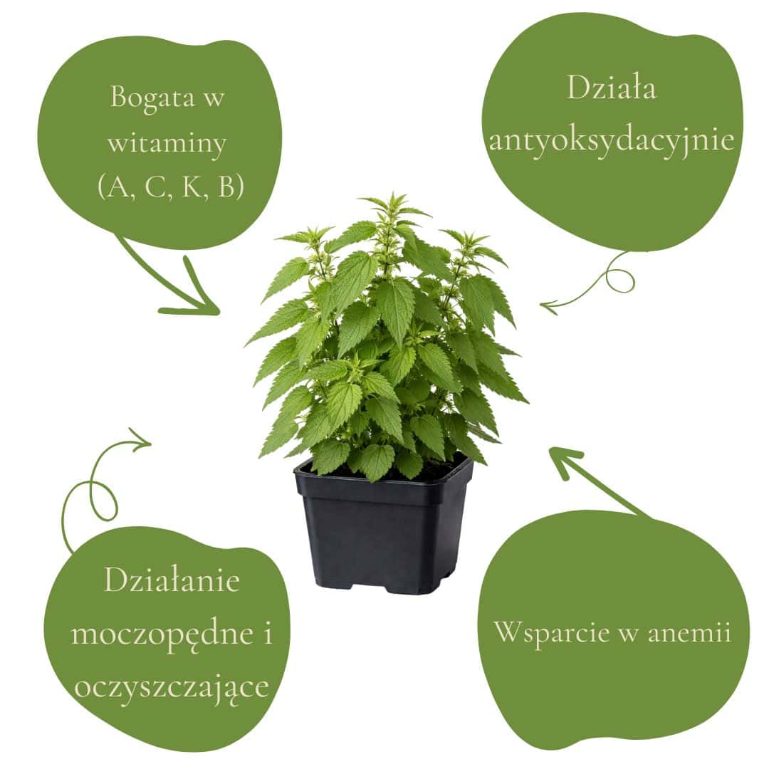 6bb8947e427b1b7e9e052ba53c3987fd