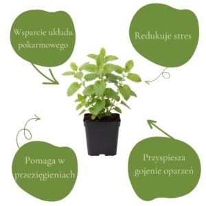 5fe5c9a02932c98defc33026a6256759