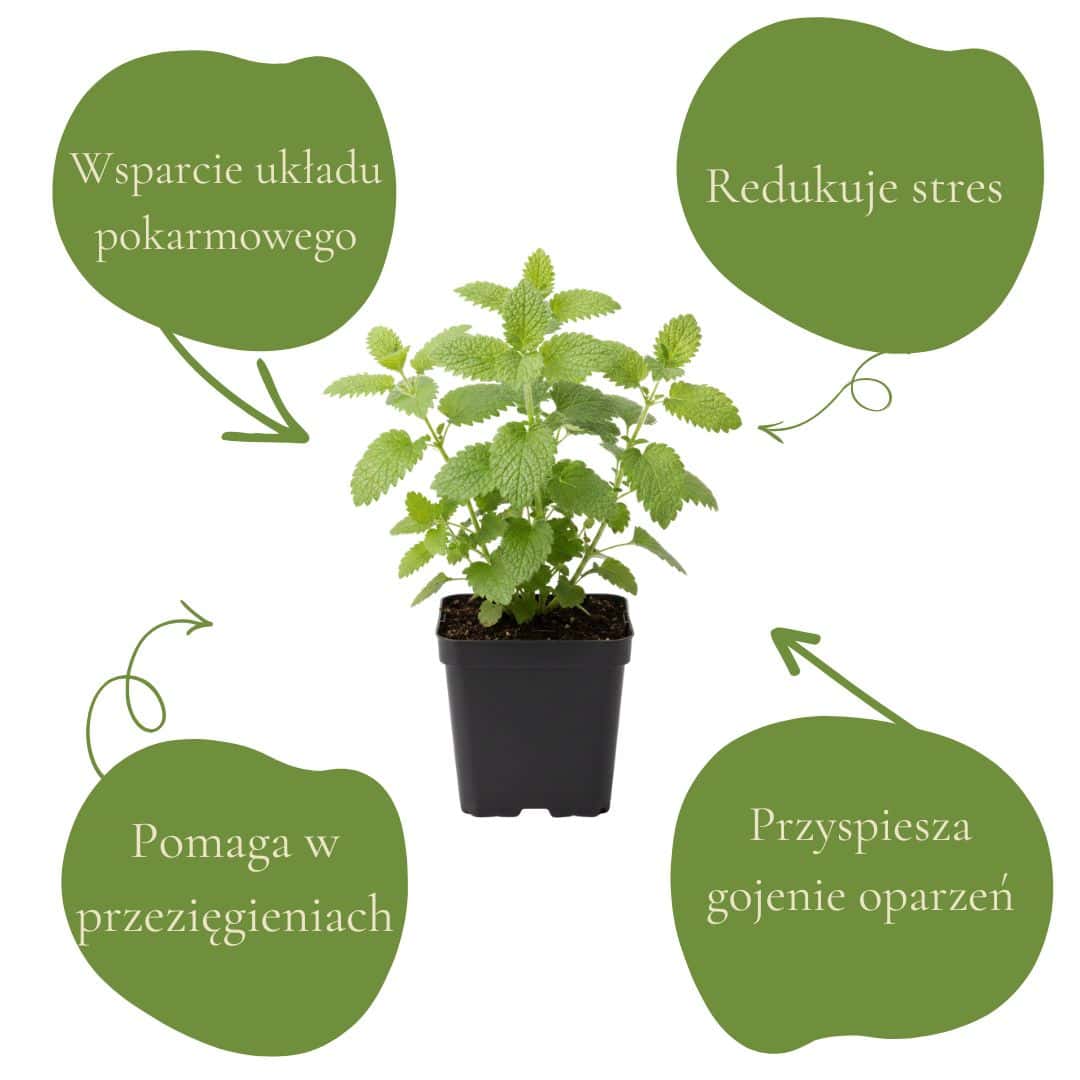 5fe5c9a02932c98defc33026a6256759