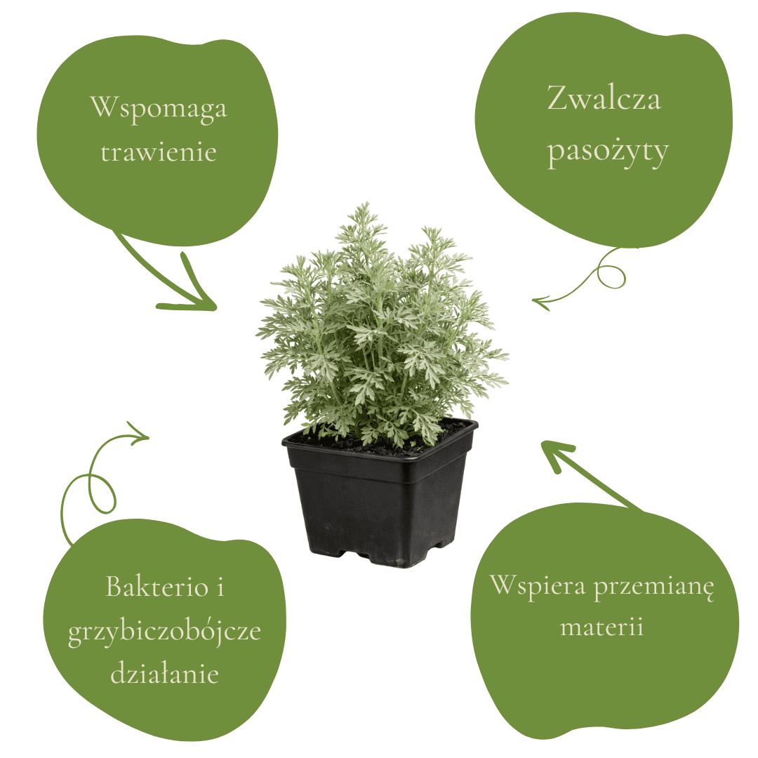 96f0f961b5cfc3624079e6194aba3ee9