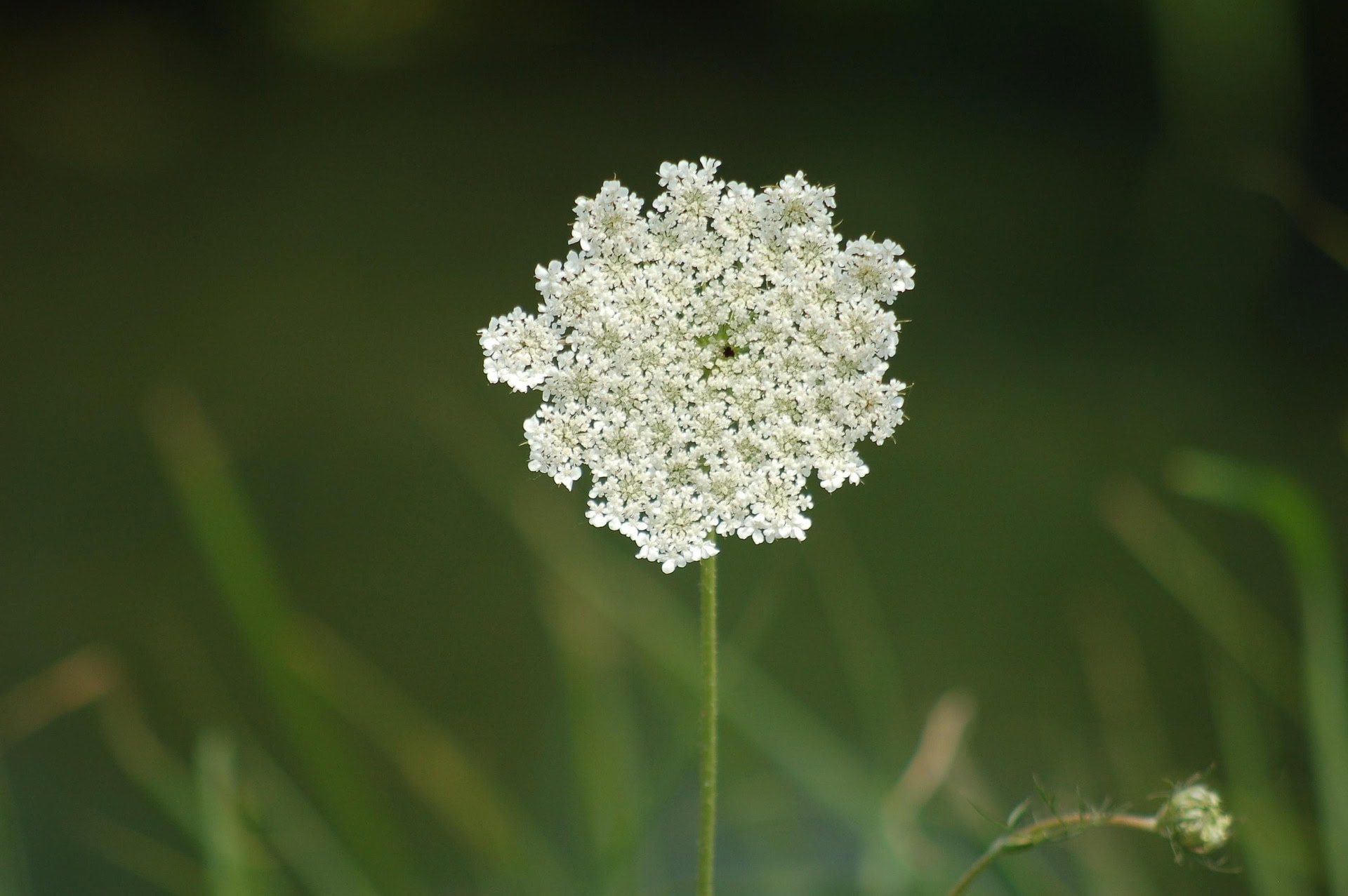 4082a4c71c22b80666d33d18b61cfcc2