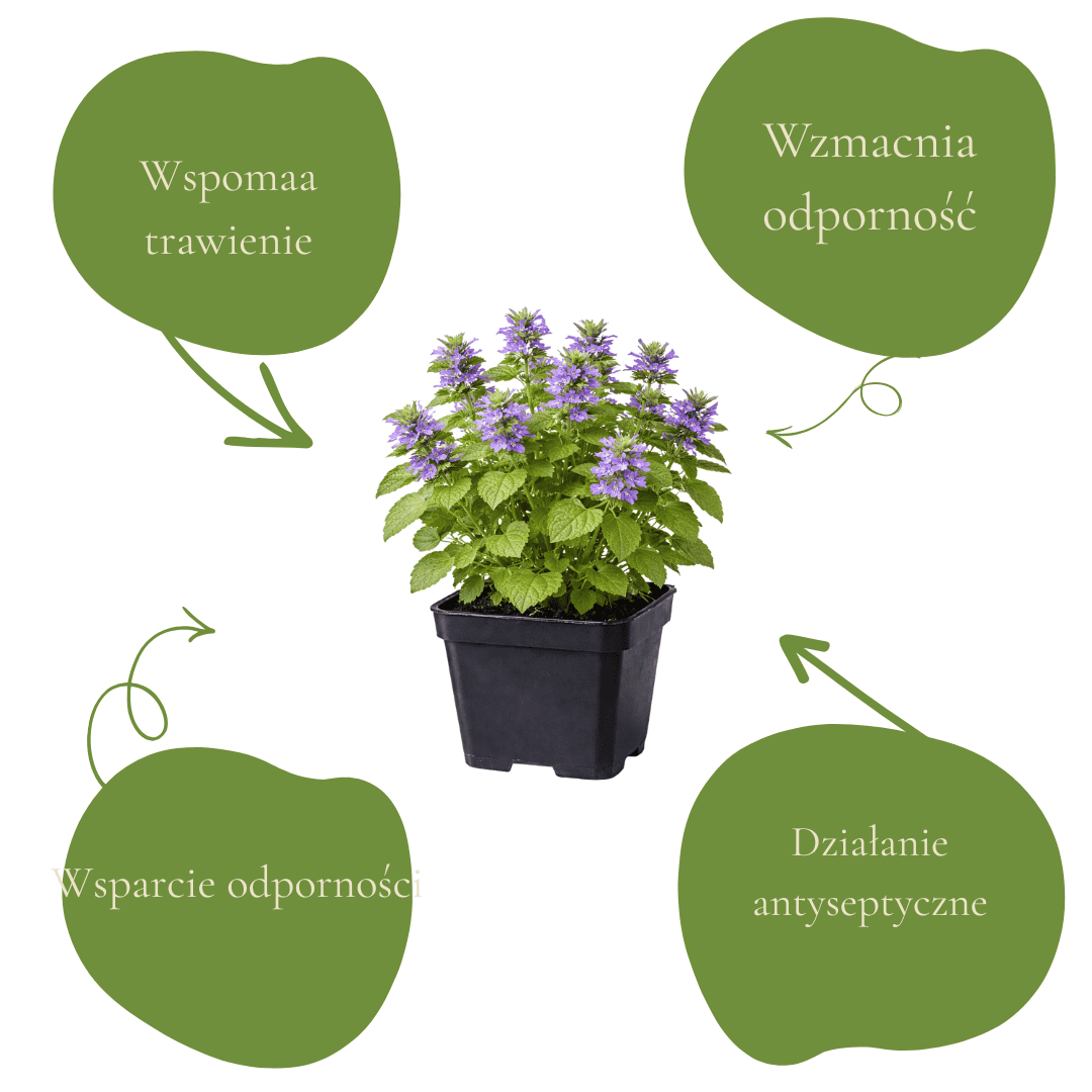 af0c58d891fdec17e9f2924a06f9471b