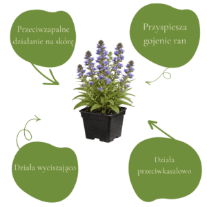 aad1d99467df532faf1b8ad24bbf5411