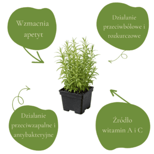 83bfbeb78349371095105db492dc2763