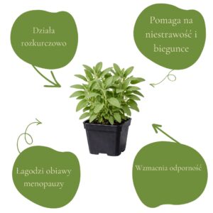 0ffd03d4cb6c1d125c7460f6e88f3f84