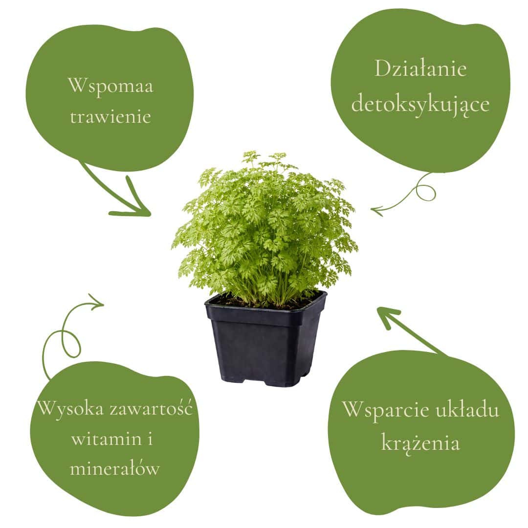 d6df91a60c9ed92696f1bc44c204056a