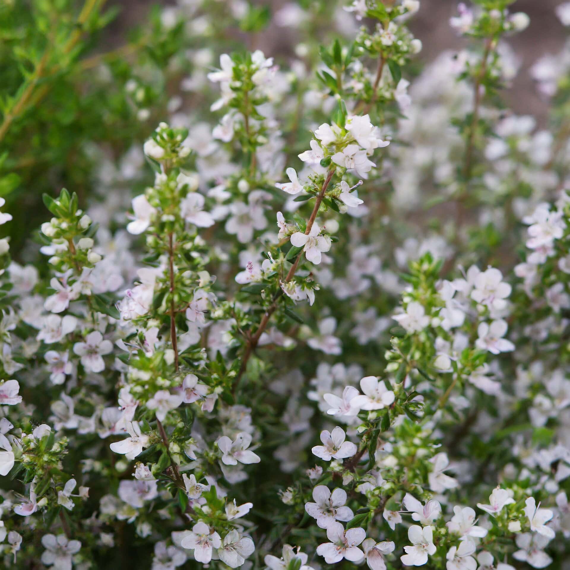 90dd11af63996b8abea679106476a249