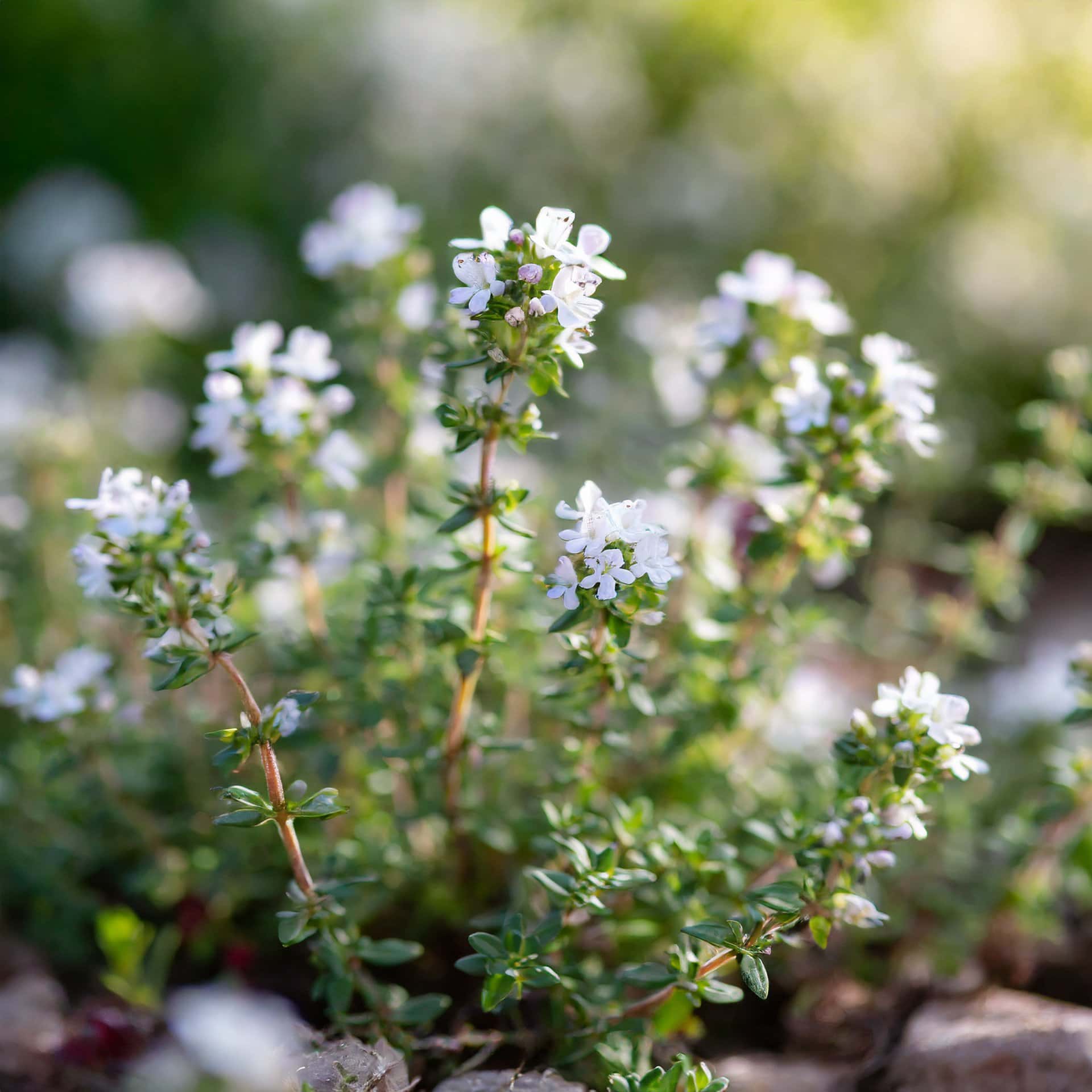 38fde973529118e946e94c1f41966610