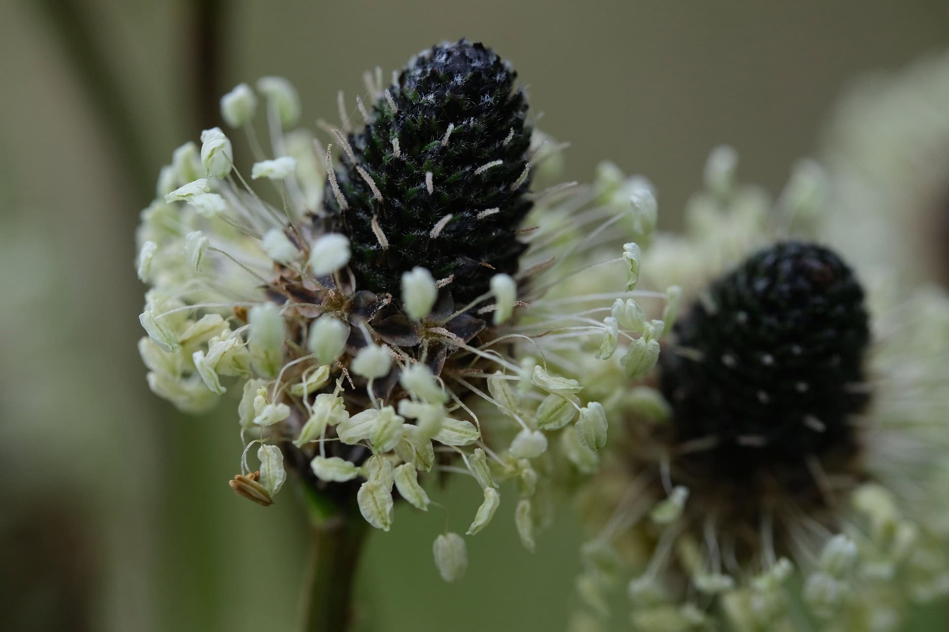 f7b63fc15b067c4d43a9401fb30233aa