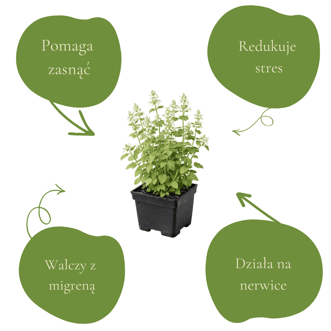 310d61c5c83e266864f5dcec2add4cd5