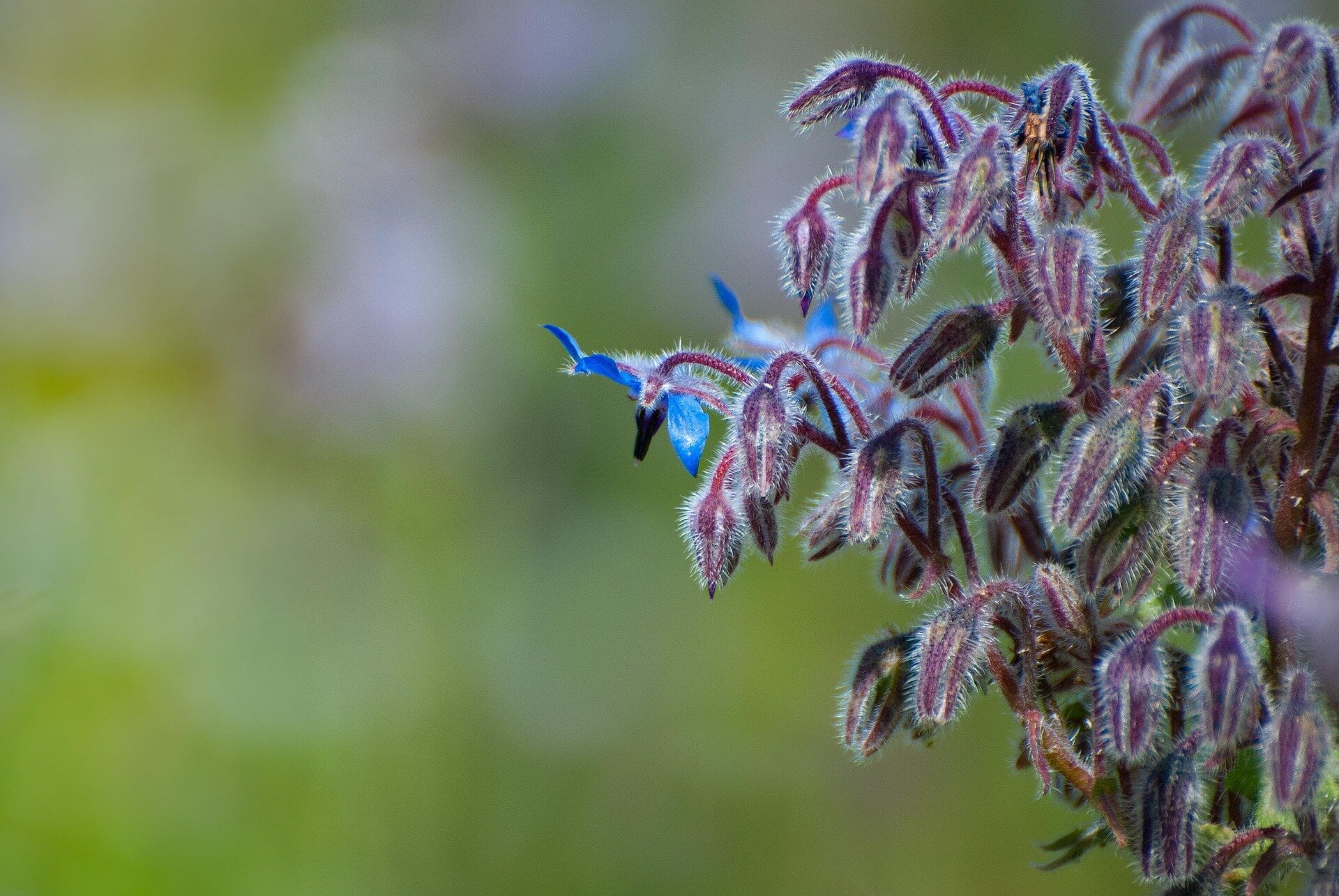 8e61b1f8ee3bd5426643733990266d59