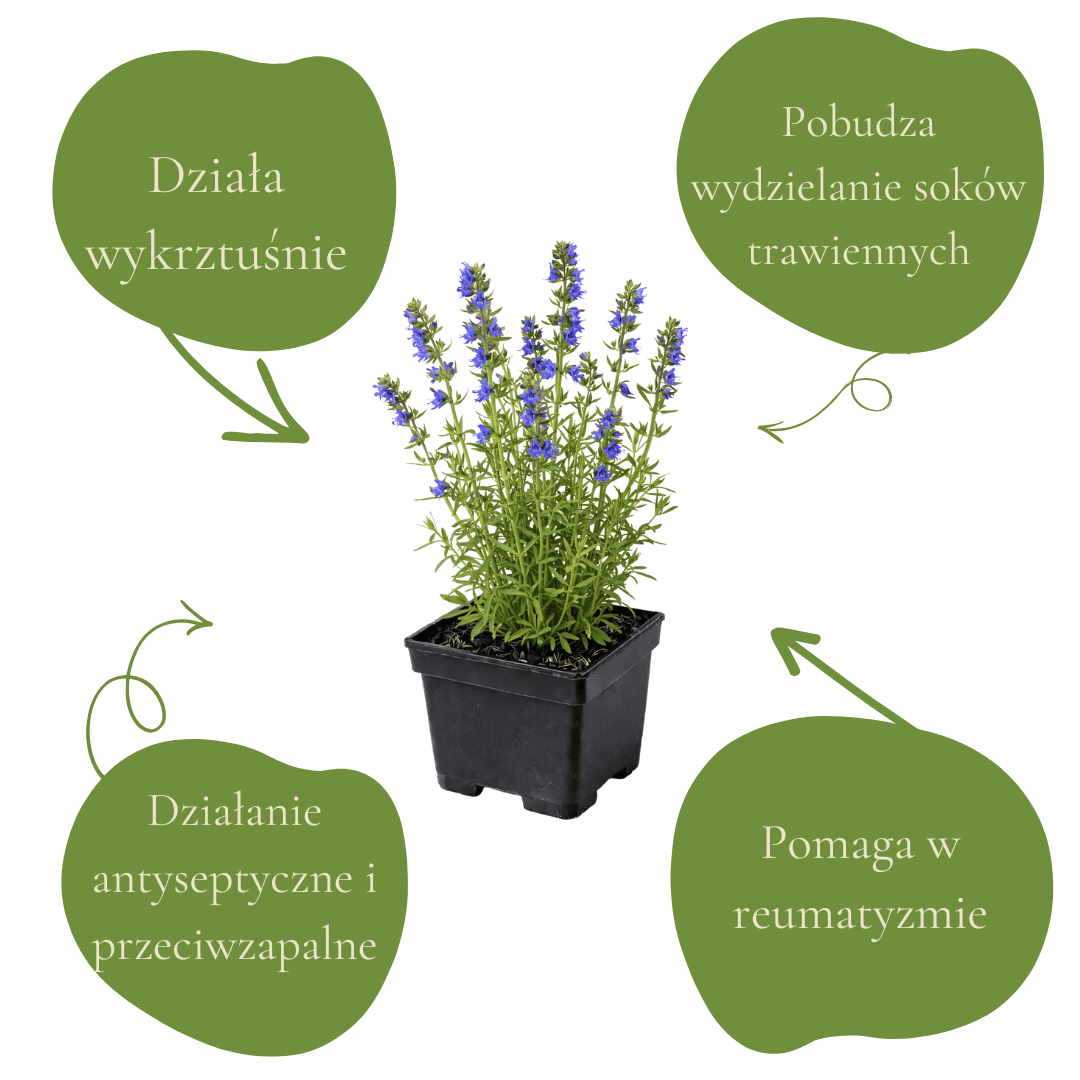 0f1ca387cdcee11bacbdf88c6c67eca0