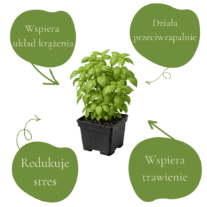 9fd6efdb5029cd08b1d9ea0c47545d41