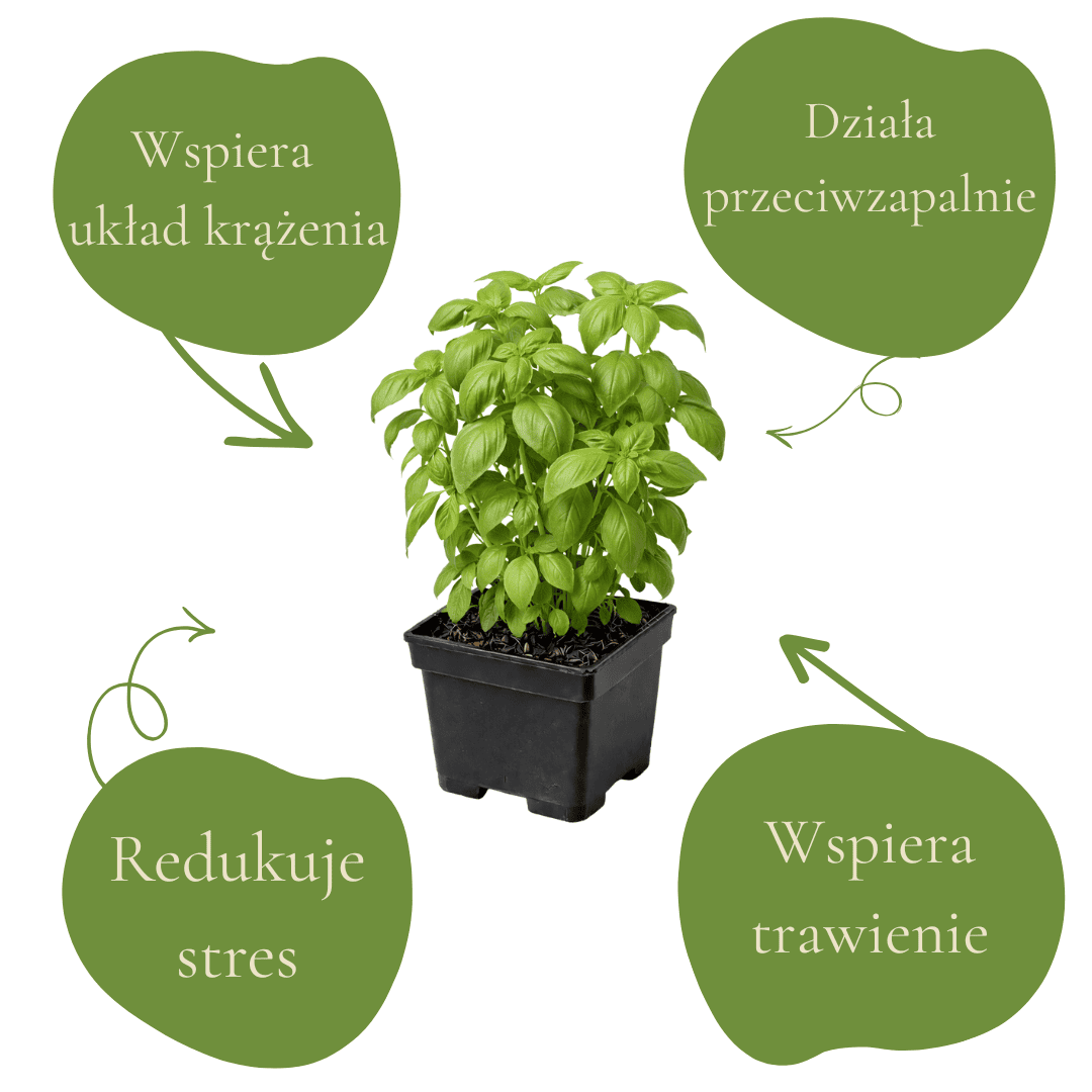 9fd6efdb5029cd08b1d9ea0c47545d41