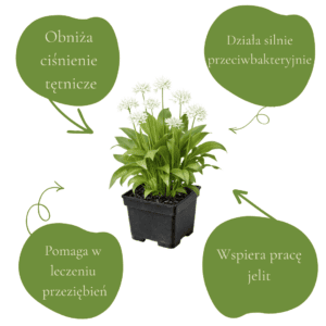 d32b23175215f4164a335111cfd6fcbe