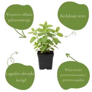 cfb7515337bafd1d8ef6fad0a03821d4