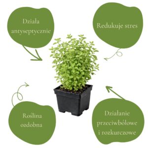 c30163a7d33d9df094b53651e1e24e26