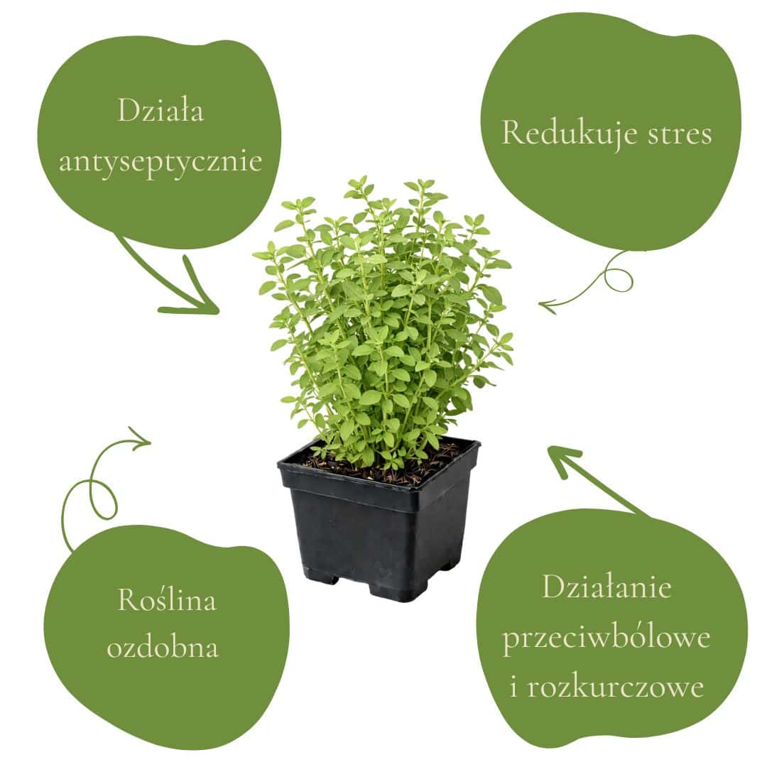 c30163a7d33d9df094b53651e1e24e26