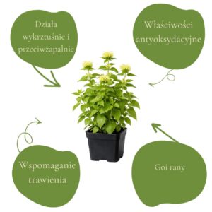 d5f61327eee1a546e27b4d7cc7c0dcd6