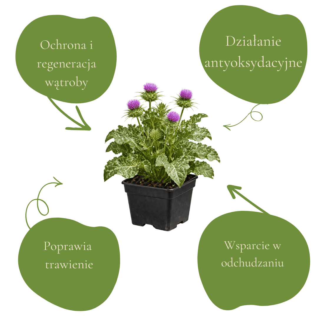 8e455a8d81a297e18cdbe59c7021bd7e