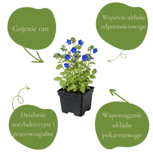 67191d0c9448d9ab7bbadeacb481cfe0