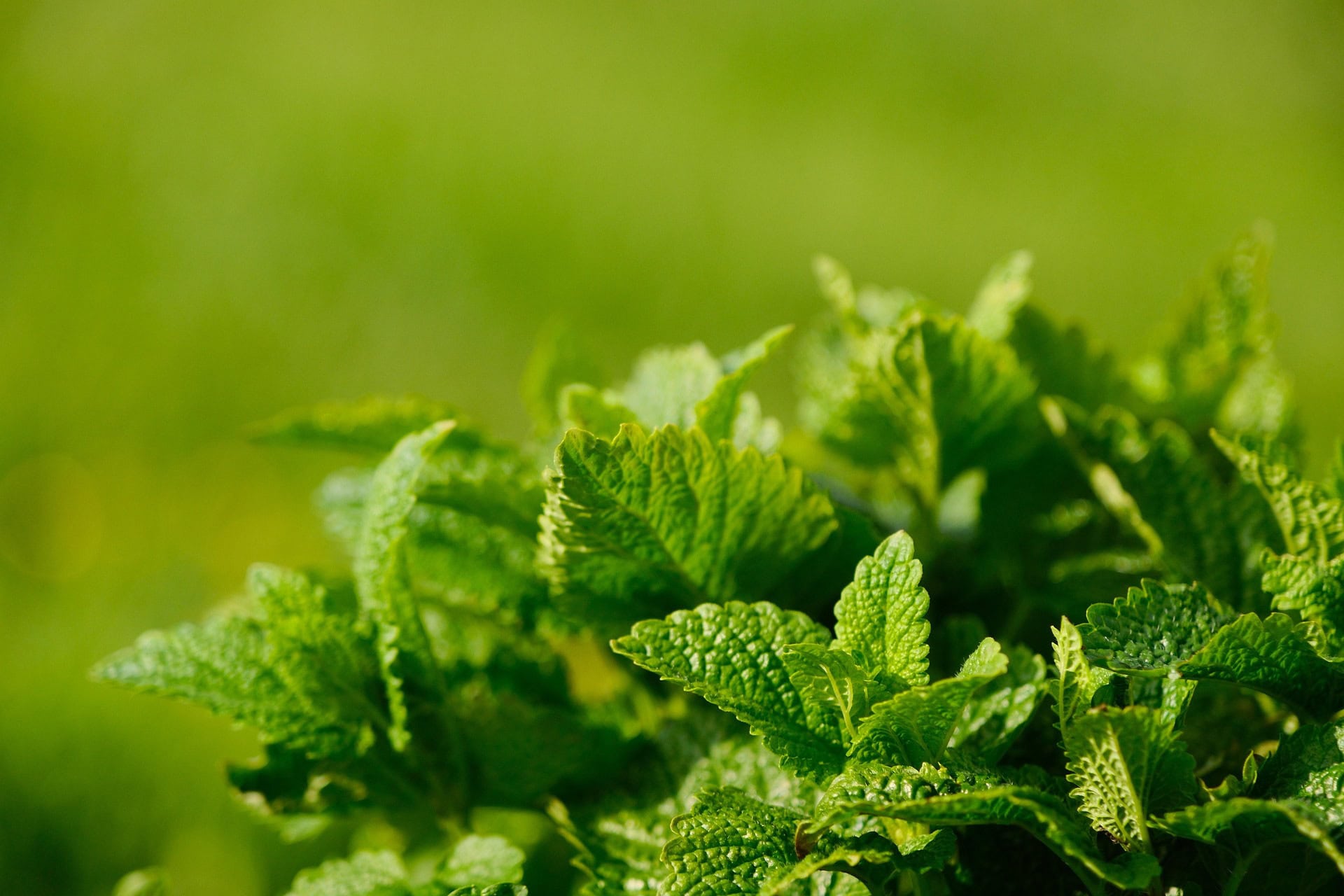 75741e45cb2e950a9f044a399ca6fe2c