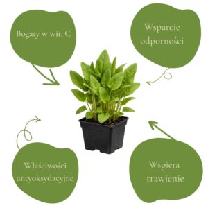 0fde1ccc079a2cb5a36faf9eb7a7f484