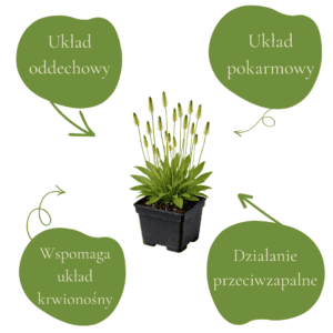 fd6a0cfa89d77523450e38718d2a4d49