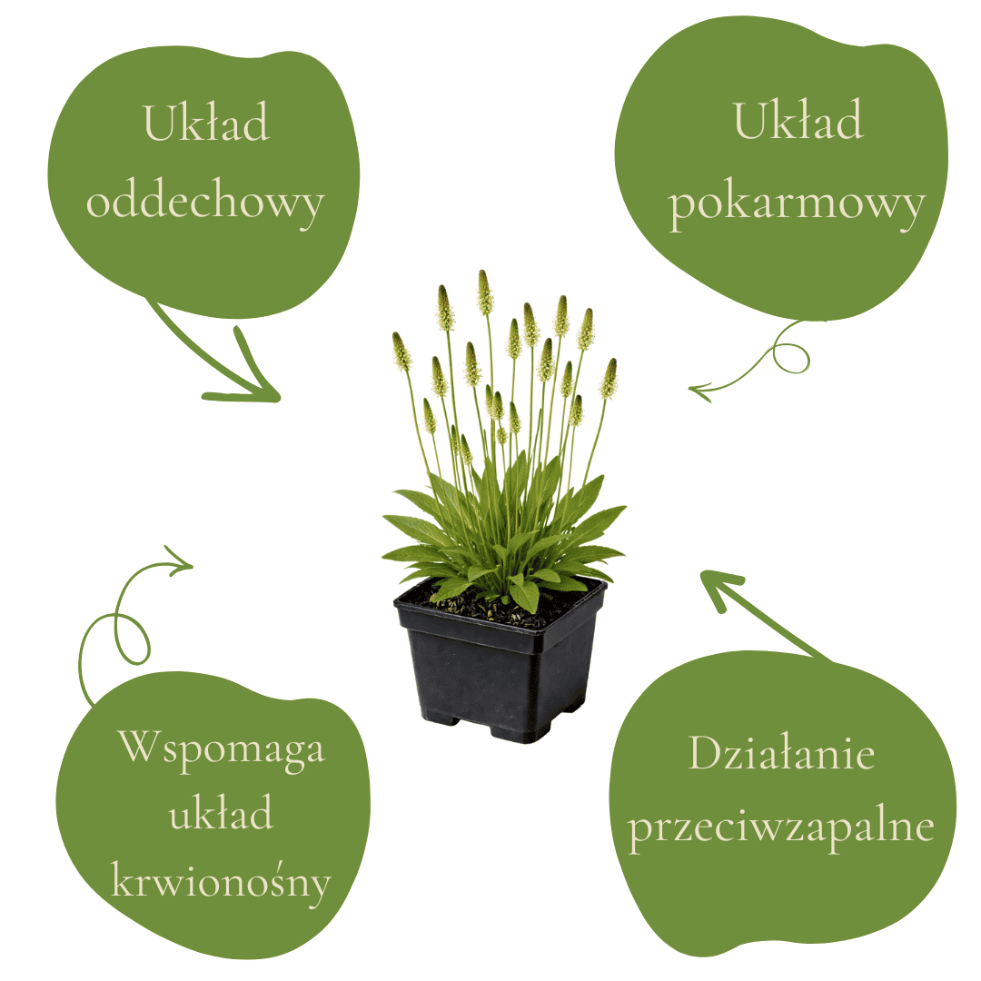 fd6a0cfa89d77523450e38718d2a4d49