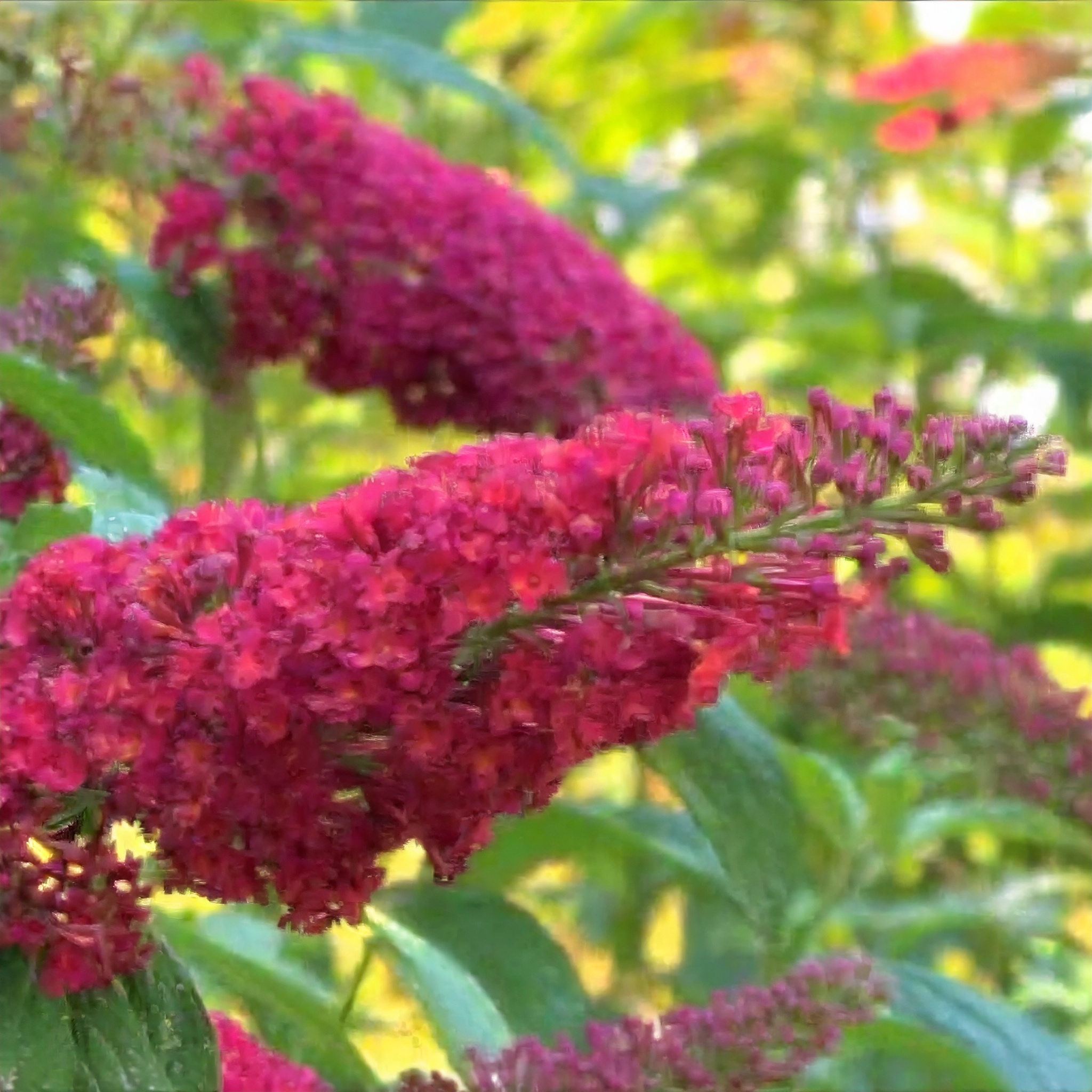 6b1e3bee9373f3d406d4796a037aeba5