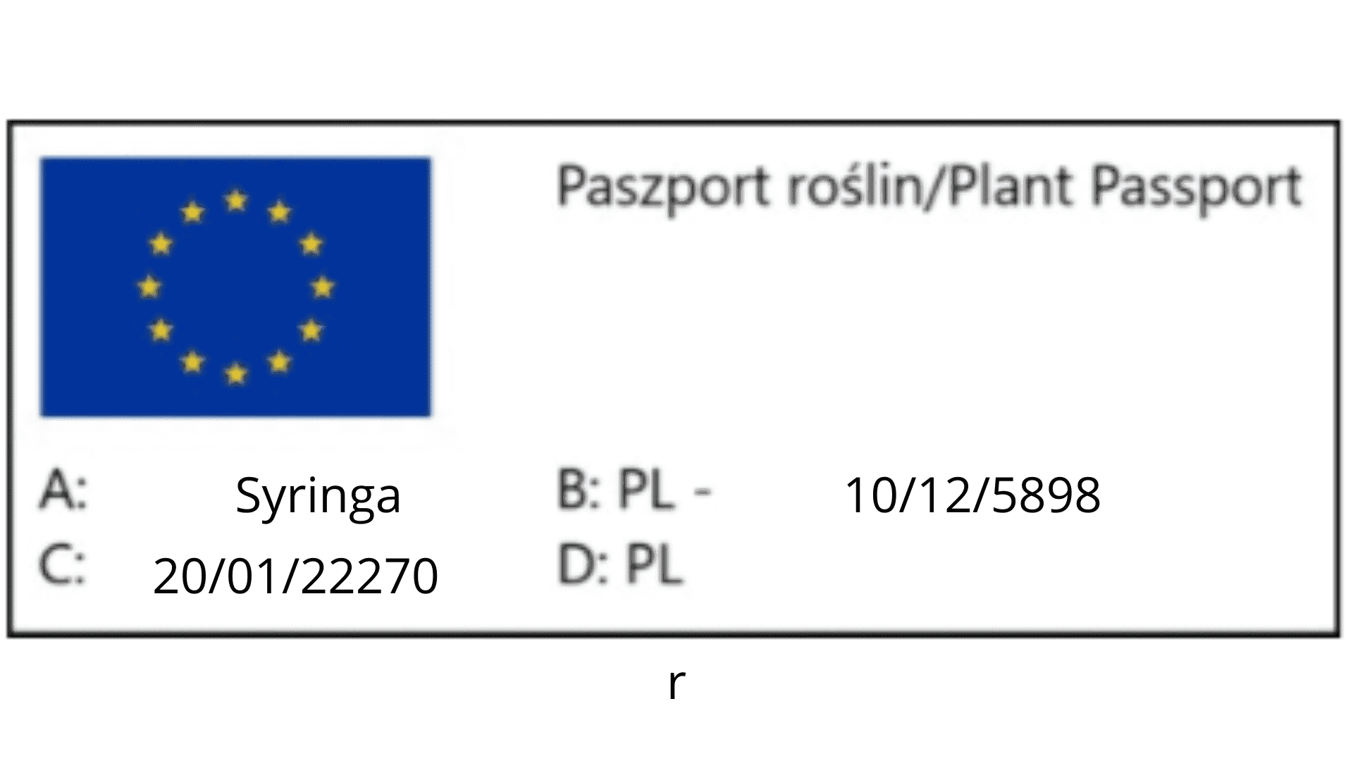 Paszport roślinny - dokument potwierdzający pochodzenie rośliny.