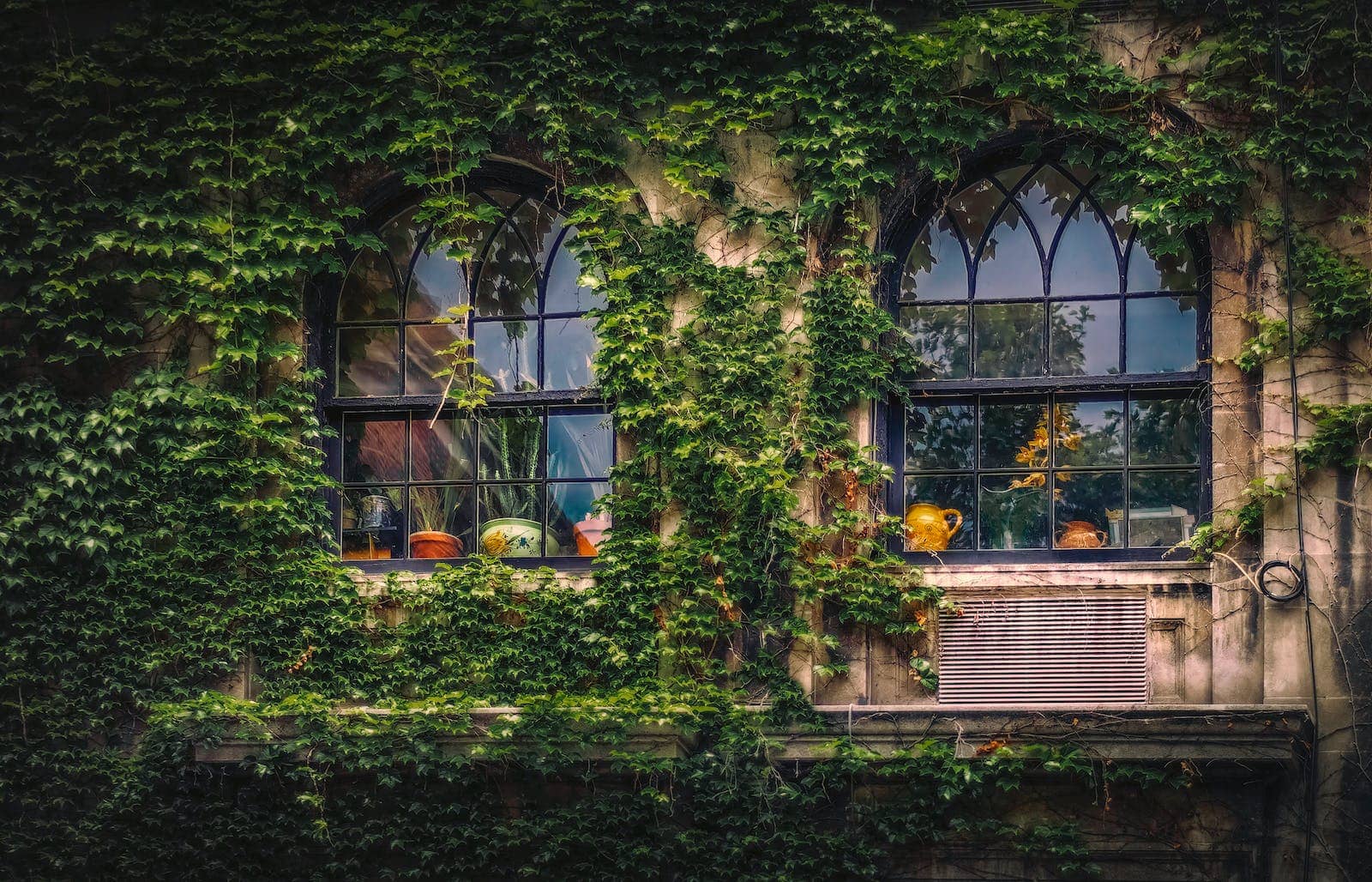 Okno w starej kamienicy pokryte zielonymi pnączami, widok na zieleń i architekturę.