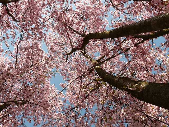 31704b17b1146baac8d3888019eb5ca3
