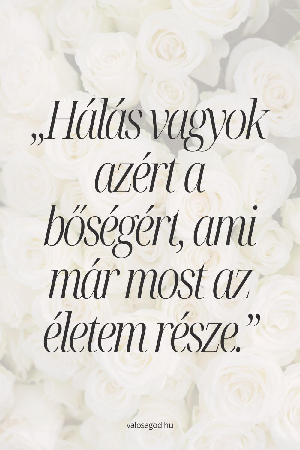 Hálás vagyok azért a bőségért, ami már most az életem része.