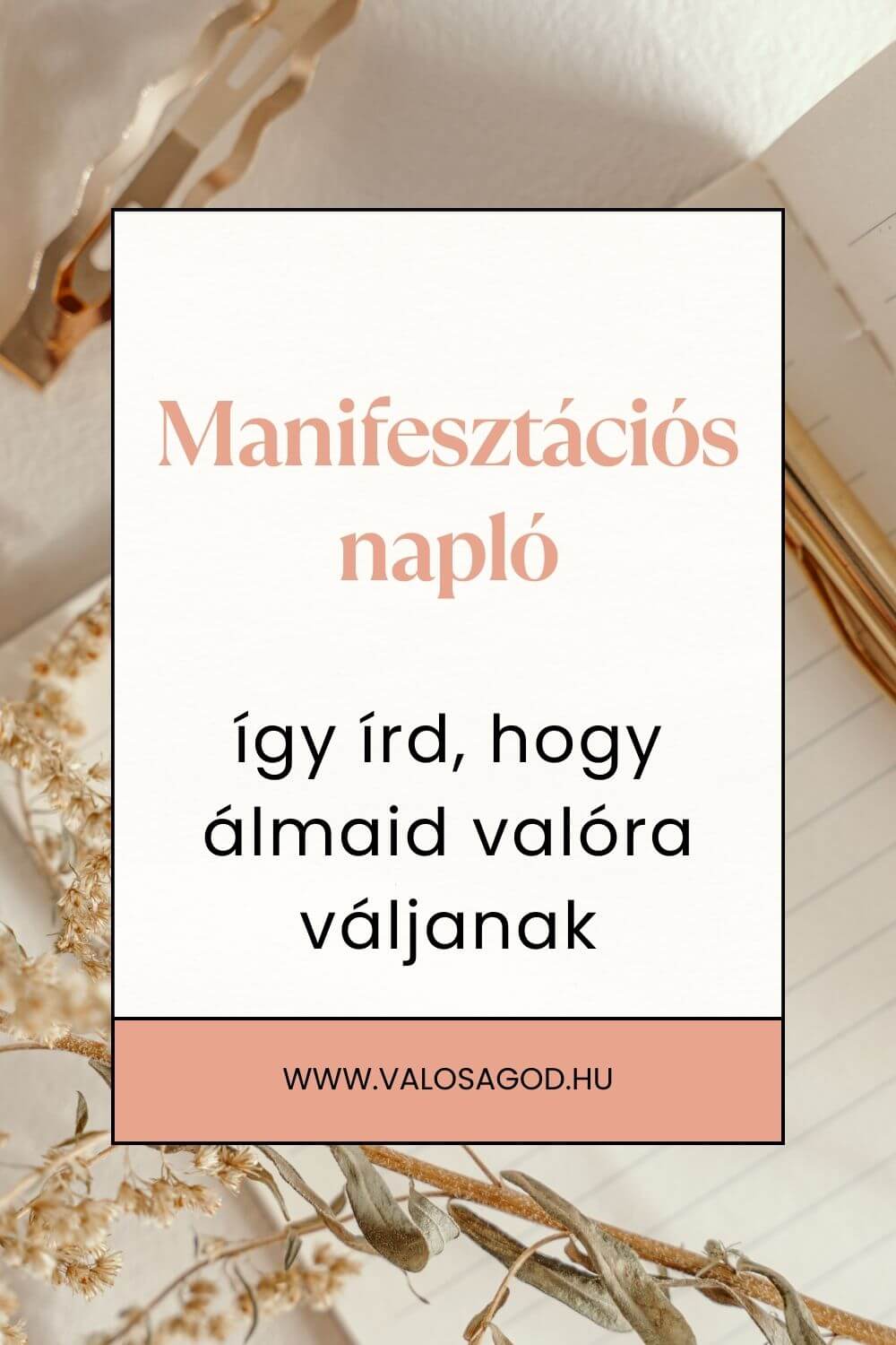Manifesztációs napló