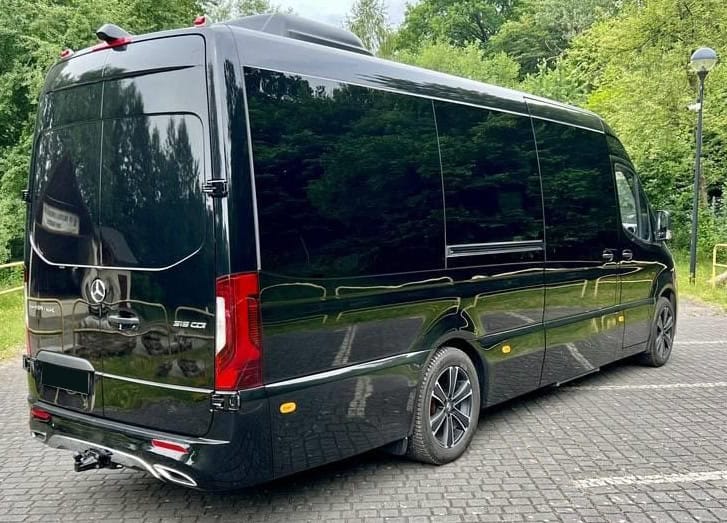 Private chauffeur in Hungary at the wheel