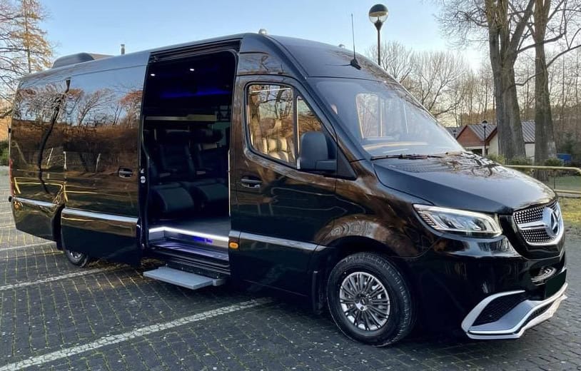 Private chauffeur opening door for guest in Budapest