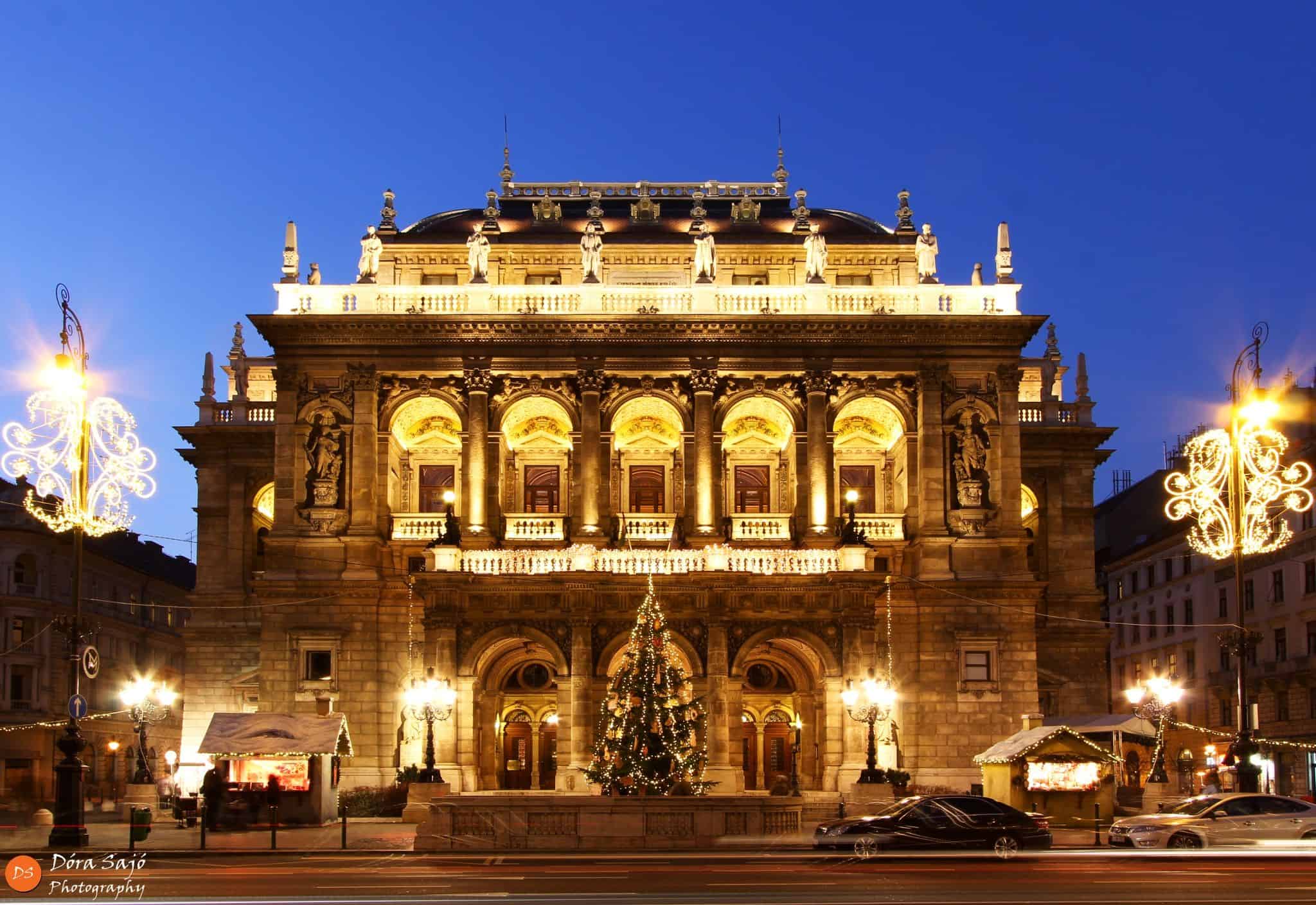 Luxury dining ambience