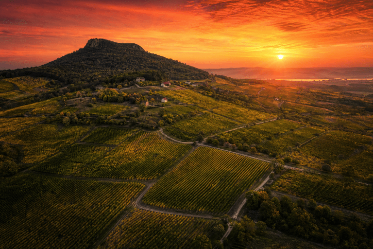 Pentes couvertes de vignobles dans la région viticole de Villány en Hongrie au coucher du soleil