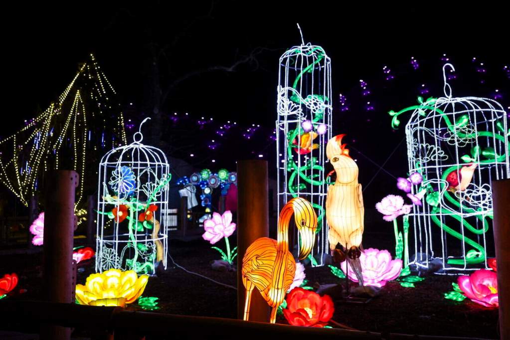Animals of the World – Chinese Lantern Festival: A Winter Glow in Budapest
