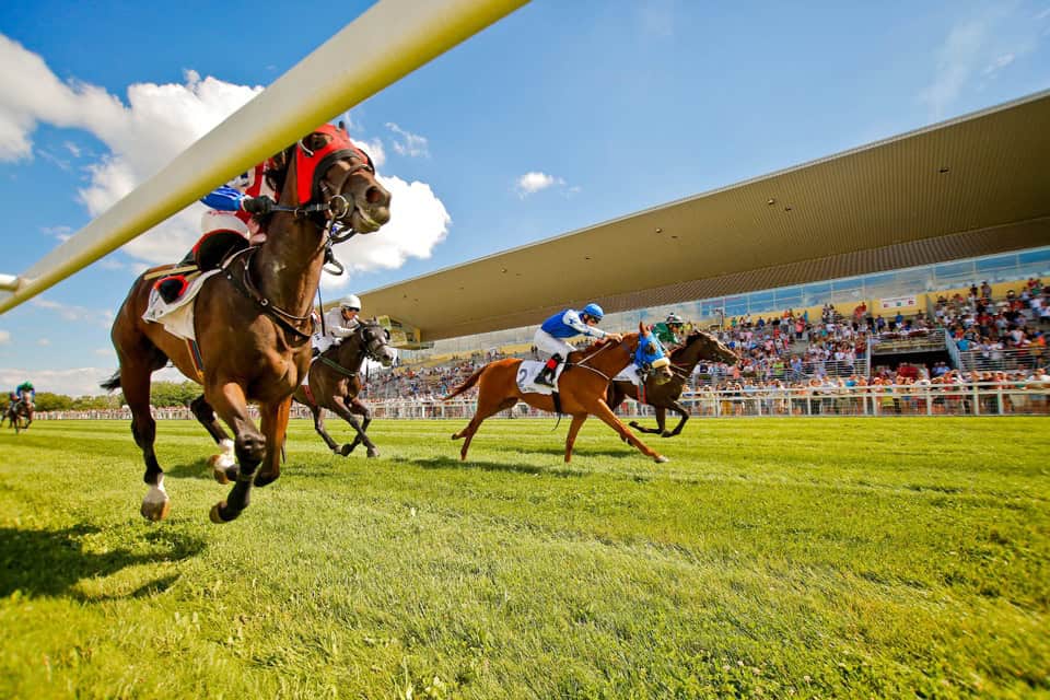 Equestrian luxury lifestyle