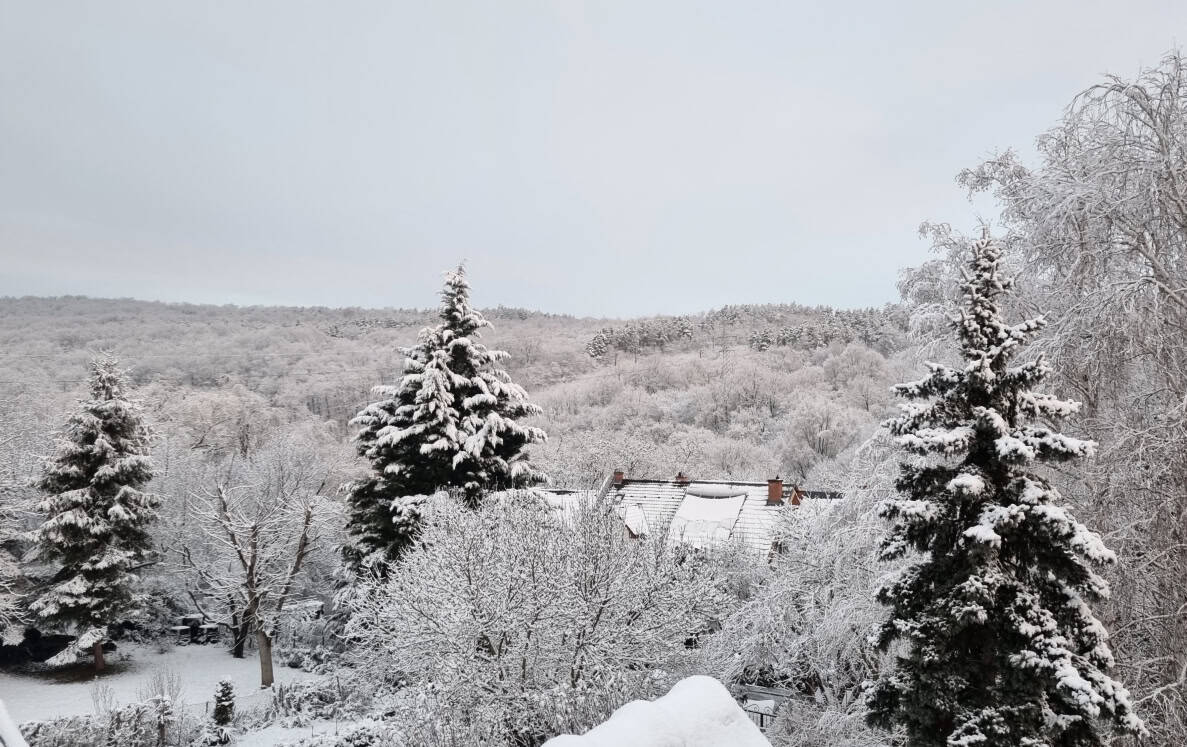 Budapest winter: snow landscape Europe